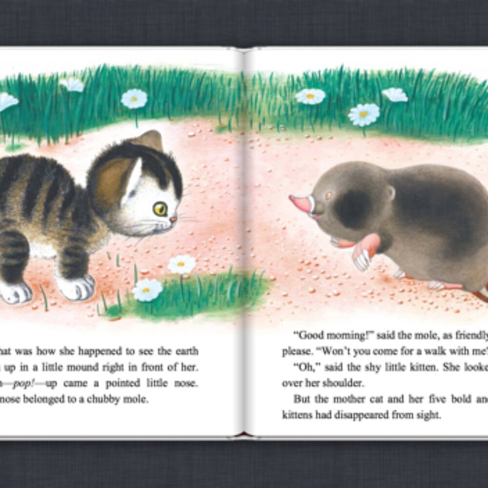 The Shy Little Kitten-Rare Find-BRAND NEW, Last ONE
